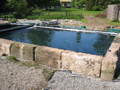 Teichoase alles rund um den Teich